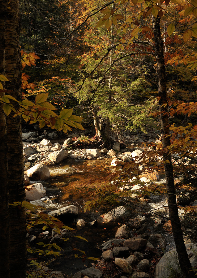 Vermont [28 mm, 1/250 sec at f / 11, ISO 500]